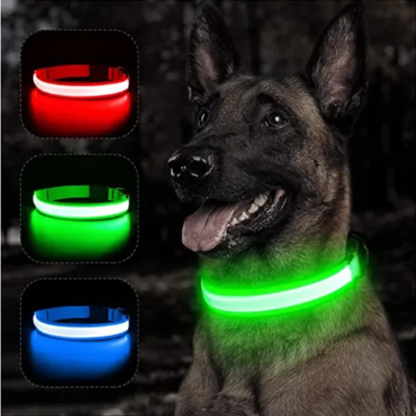 Coleira de Cachorro com LED: Ajustável, Piscante e Recarregável - Segurança e Estilo para Passeios Noturnos Inesquecíveis