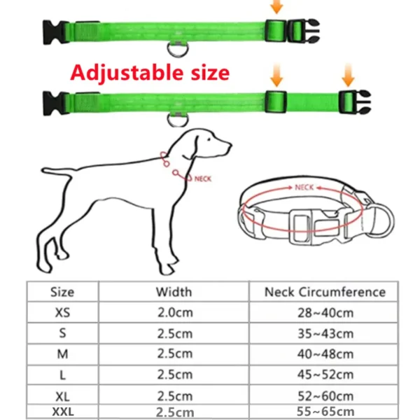 Coleira de Cachorro com LED: Ajustável, Piscante e Recarregável - Segurança e Estilo para Passeios Noturnos Inesquecíveis - Image 2