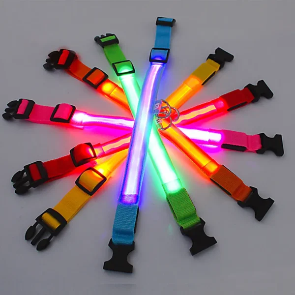 Coleira de Cachorro com LED: Ajustável, Piscante e Recarregável - Segurança e Estilo para Passeios Noturnos Inesquecíveis - Image 5