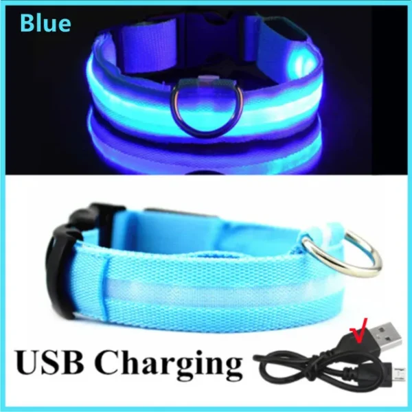 Coleira de Cachorro com LED: Ajustável, Piscante e Recarregável - Segurança e Estilo para Passeios Noturnos Inesquecíveis - Image 13