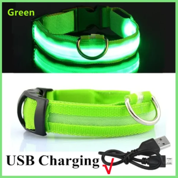 Coleira de Cachorro com LED: Ajustável, Piscante e Recarregável - Segurança e Estilo para Passeios Noturnos Inesquecíveis - Image 12