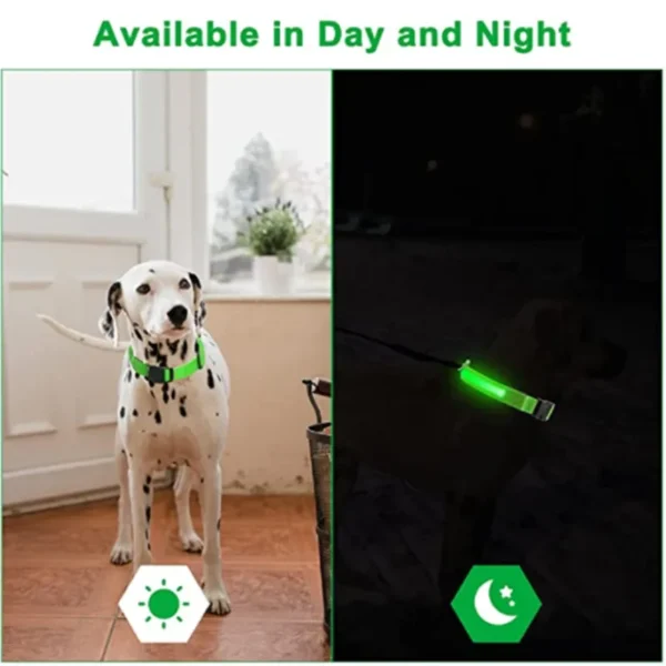 Coleira de Cachorro com LED: Ajustável, Piscante e Recarregável - Segurança e Estilo para Passeios Noturnos Inesquecíveis - Image 4