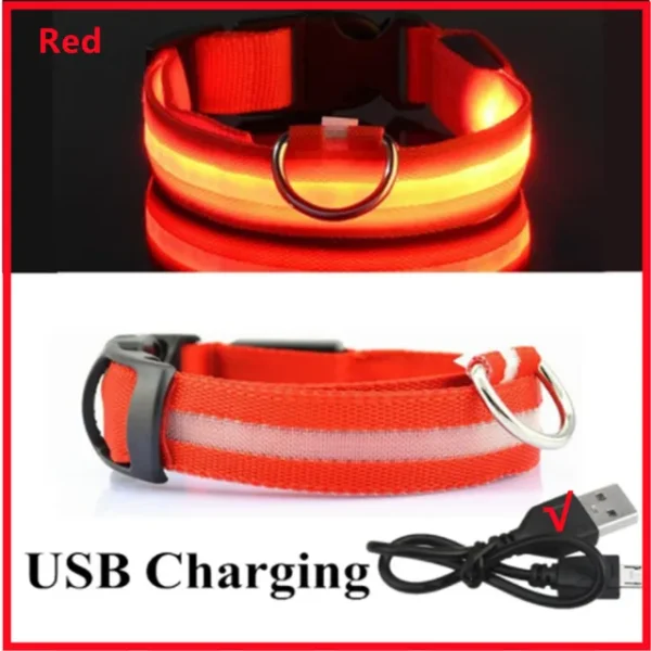 Coleira de Cachorro com LED: Ajustável, Piscante e Recarregável - Segurança e Estilo para Passeios Noturnos Inesquecíveis - Image 10