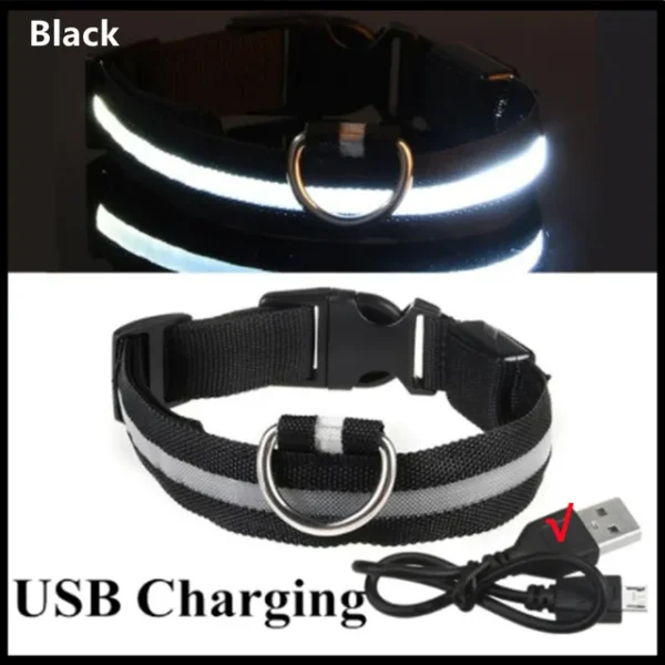 Coleira de Cachorro com LED: Ajustável, Piscante e Recarregável - Segurança e Estilo para Passeios Noturnos Inesquecíveis - Image 7