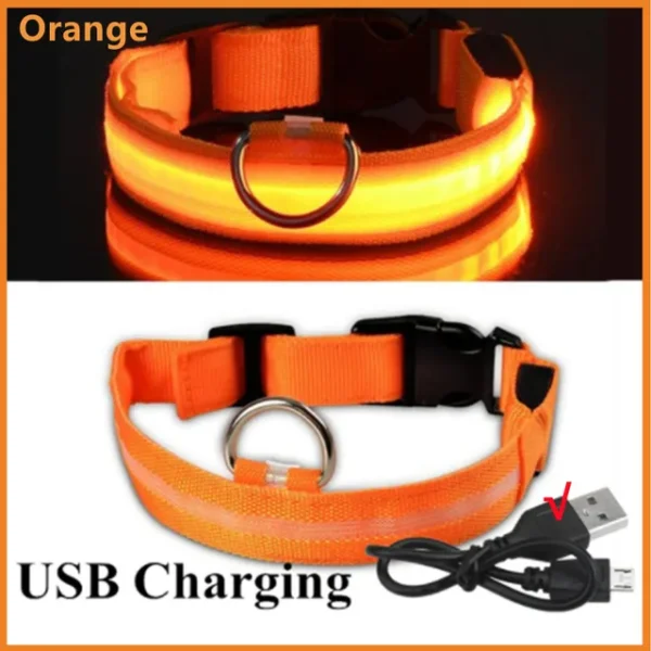 Coleira de Cachorro com LED: Ajustável, Piscante e Recarregável - Segurança e Estilo para Passeios Noturnos Inesquecíveis - Image 8