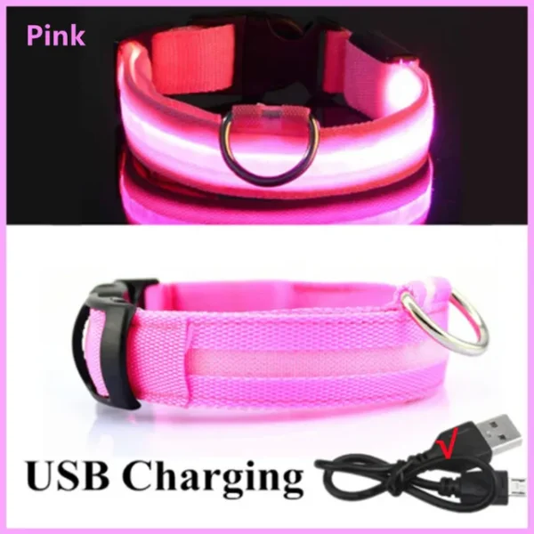 Coleira de Cachorro com LED: Ajustável, Piscante e Recarregável - Segurança e Estilo para Passeios Noturnos Inesquecíveis - Image 9